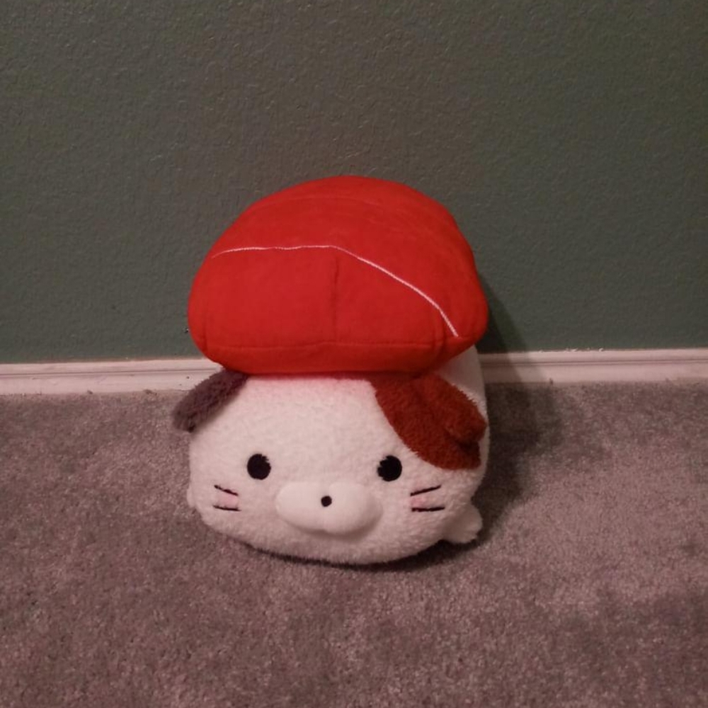 Cat with Salmon Plushie